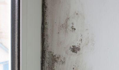 Water Damage Restoration is Time Sensitive for Peachtree Corners Properties