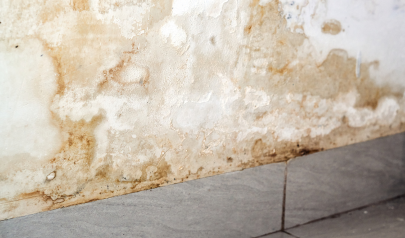 Water Damage Restoration When Water Leaks in the Ceiling in Rock Hill