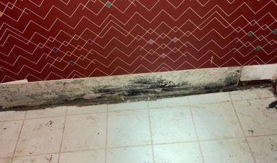 Fast Response for Water Mitigation in Marietta GA