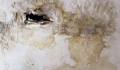 Charlotte Water Damage Restoration Tools