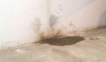 AdvantaClean's Flood Damage Technology and Insurance Assistance