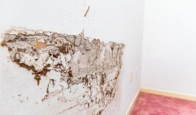3 Ways Air Movers Ease Hamilton Water Damage Restoration