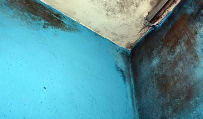 When Mold Inspection Is Necessary in a Cumming, Georgia Home