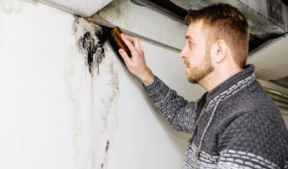 Professional Black Mold Removal in Cumming GA