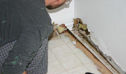 Professional Cleaning During Charlotte Flood Damage Restoration