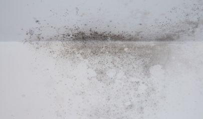 Mold Inspection Benefits For Dunwoody Homes