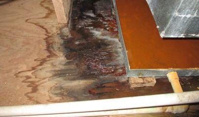How to Spot the Early Signs of Water Damage Before You Need Full Water Mitigation