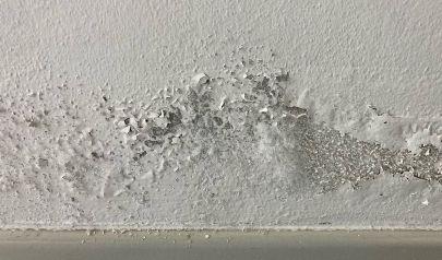 What to Expect When You Have Water Damage: The Hidden Problems Most People Miss