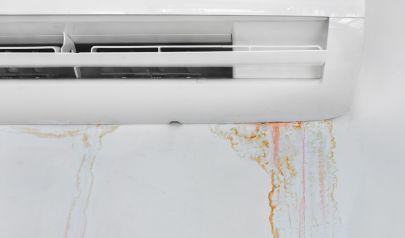 Discussing AdvantaClean of Sandy Springs Mold Removal
