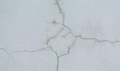 Why January Is the Best Month to Inspect for Mold in Fort Lauderdale Homes