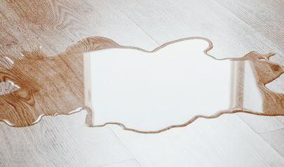 How Professional Water Extraction Saves Your Roswell Home from Water Damage: The Critical First Step