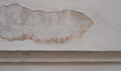 Discussing Marietta Mold Removal Basics