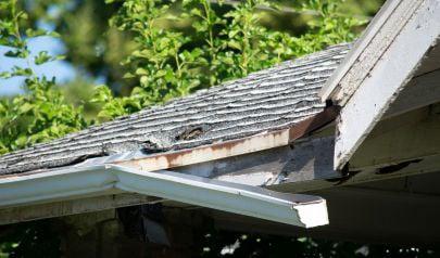 Essential Water Extraction Services for Shoreline, Washington Homes