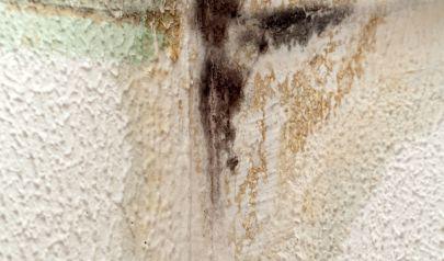 The equipment we use for a Black Mold Removal Job in Kennesaw