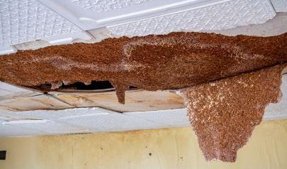 Prompt Norcross Water Damage Restoration Is Crucial