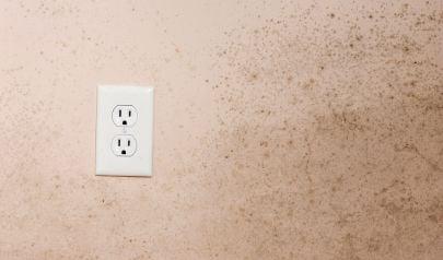 What We Look For During Mold Inspections in Rocky River Homes