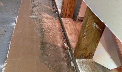 Thorough Mold Inspection and Cleanup in Marietta, Georgia: Exceeding Expectations with Precision