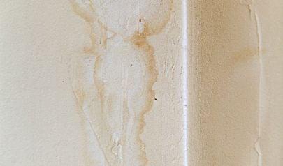 Mold Removal Services for Suwanee, Georgia