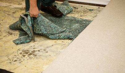 Moisture Control in Rock Hill: Our Process