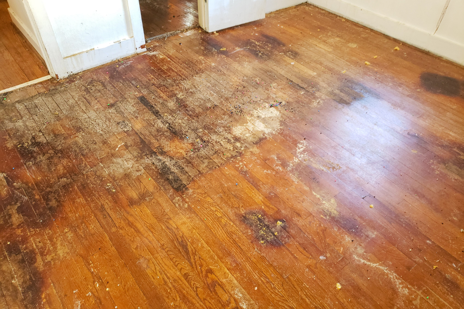 What Should You Do in the First Few Hours After Water Damage in Your Norcross Home?