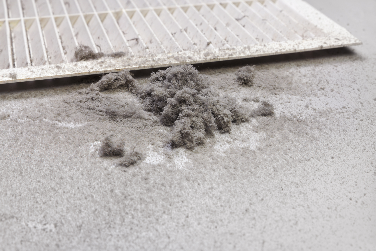 What Is Actually Living in Your Roswell Home’s Air Ducts