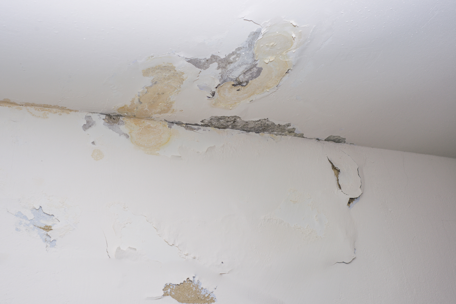 How Far Did the Water Actually Travel? Water Damage Restoration in North Olmsted