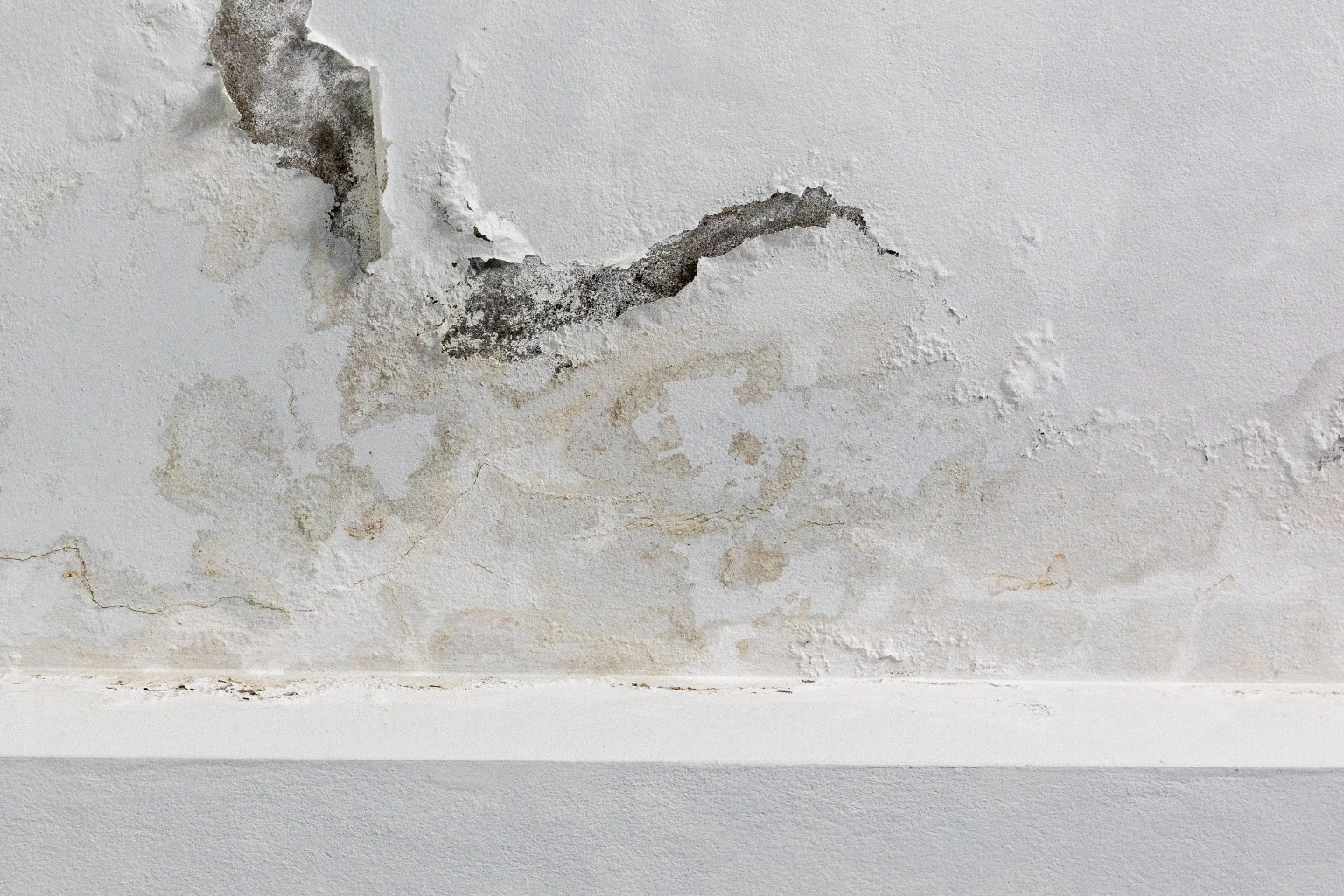 Seven Questions Pompano Beach Homeowners Ask About Mold