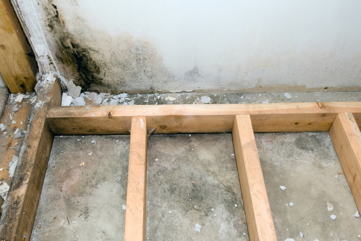 Evaluating Finished Basement Mold From the Foundation Up