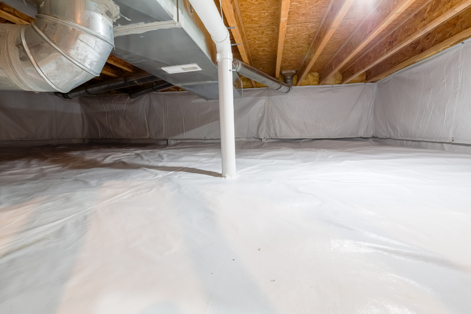 Buford Homeowners Are Surprised to Learn What Is Living Under Their Floors