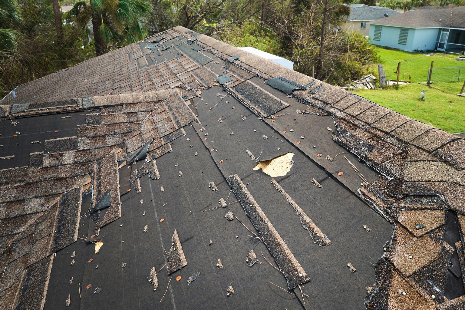 Tracking Recurring Moisture Pathways Under South Florida Flat Roofs