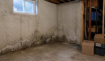 The Hidden Connection Between Clogged Gutters and Basement Mold in Shoreline
