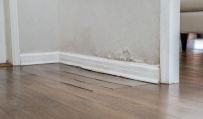 What Water Damage Restoration Actually Involves After the Panic Wears Off
