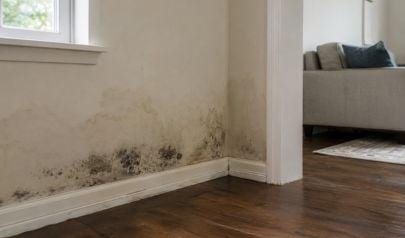 Protecting Homes in Fairfield Township from Water and Mold Damage