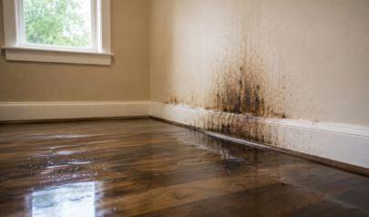 Hamilton Property Damage Help When Moisture, Mold, or Smoke Spreads