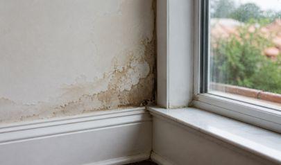 Why Water Keeps Returning to the Same Spot in Your Pompano Beach Home