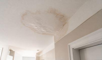 The AC Drip Nobody Catches Until It Is Too Late in Cooper City and Fort Lauderdale