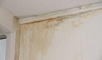 AC Water Overflow Is Causing Water Damage in Cooper City Homes