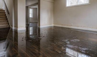 Flash Flooding Soaked Your Home, and What Happens in the Next 48 Hours