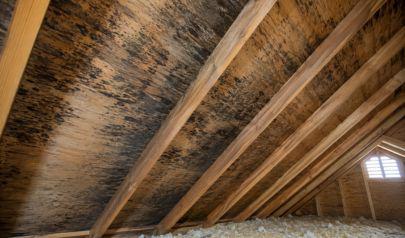 Attic Mold in Marietta Usually Gets Discovered by Accident. Here Is How to Find It on Purpose