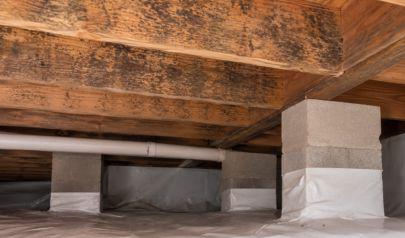 Mold in Matthews Homes Is More Common Than You Think and Easier to Fix