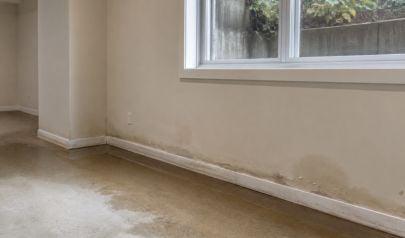 When Kirkland Basements Flood, Every Hour Counts