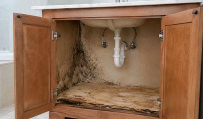 A Pipe Leak in Westlake Turned into a Mold Problem Three Weeks Later