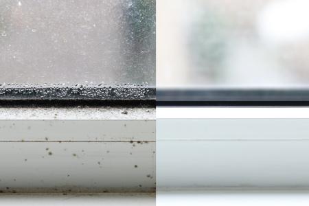 Is Mold Worse in the Winter? Understanding and Addressing Winter Mold Issues