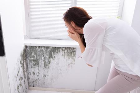 Does Mold Go Away in the Winter?