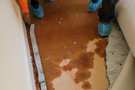 The Risks of DIY Water Damage Cleanup and Why You Need Professional Help