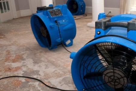 How to Protect Your Home from Mold After Flooding or Water Damage