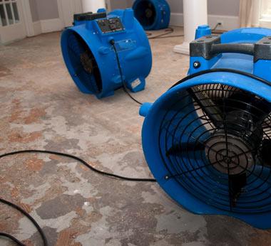How Long Does It Take for Water to Cause Damage?