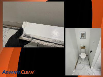 Case Study Description