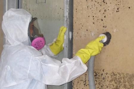 Mold remediation in Lauderdale‑by‑the‑Sea: Why quick action matters