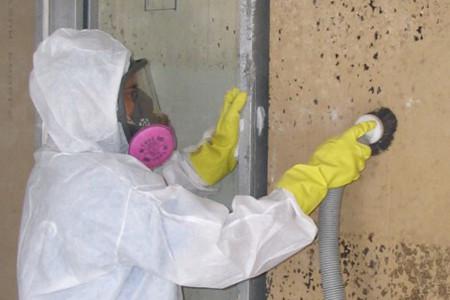 Can Basement Mold Make You Sick?
